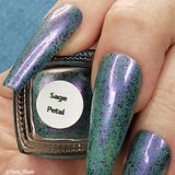 Sage Petal - pretty sage green base with colourful UCC flakes