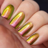 Lord Tony - a rich pink, red, gold/bronze and green multichrome